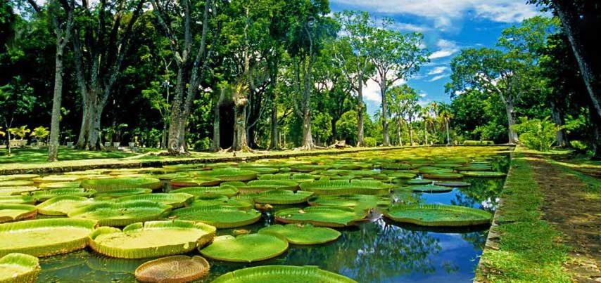 Lotus Villa, Residences Le Chaumet, Pereybere Bain Boeuf المظهر الخارجي الصورة